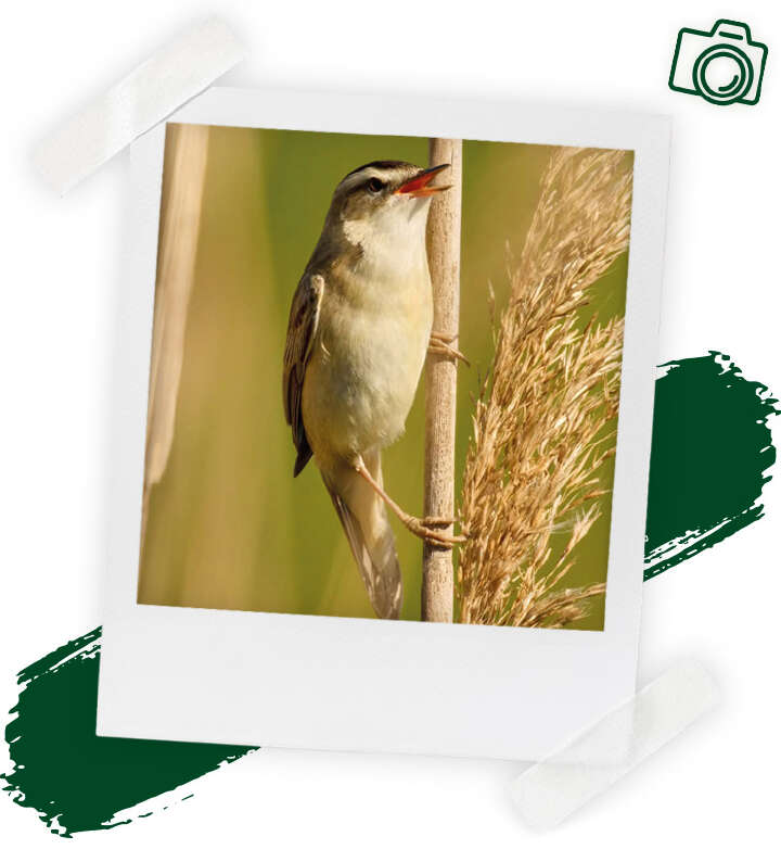 landflair fotowettbewerb ralf neier 720x804 landflair fotowettbewerb ralf neier 720x804